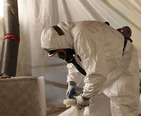 capture d’écran 2026 02 24 114739 capture d’écran 2026 02 24 114739