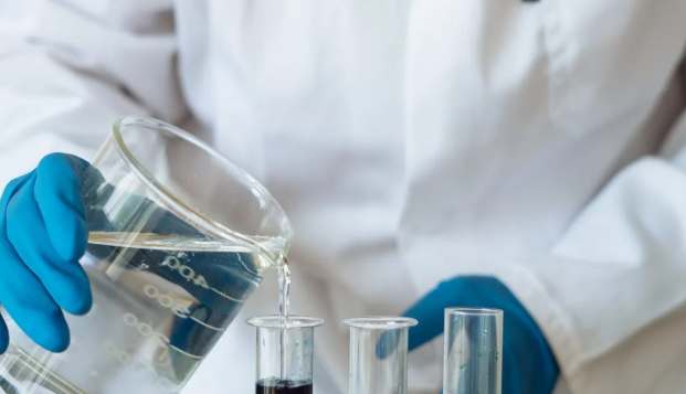 capture d’écran 2026 02 24 163908 capture d’écran 2026 02 24 163908