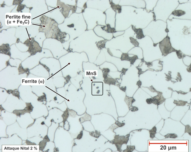 capture d’écran 2026 03 06 110533 capture d’écran 2026 03 06 110533